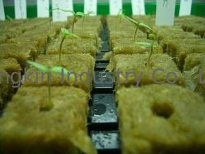 Absorbption Water Hydroponic stonewool ก้อน, 80kg / m3 ฐานผ้าขนสัตว์ Rock